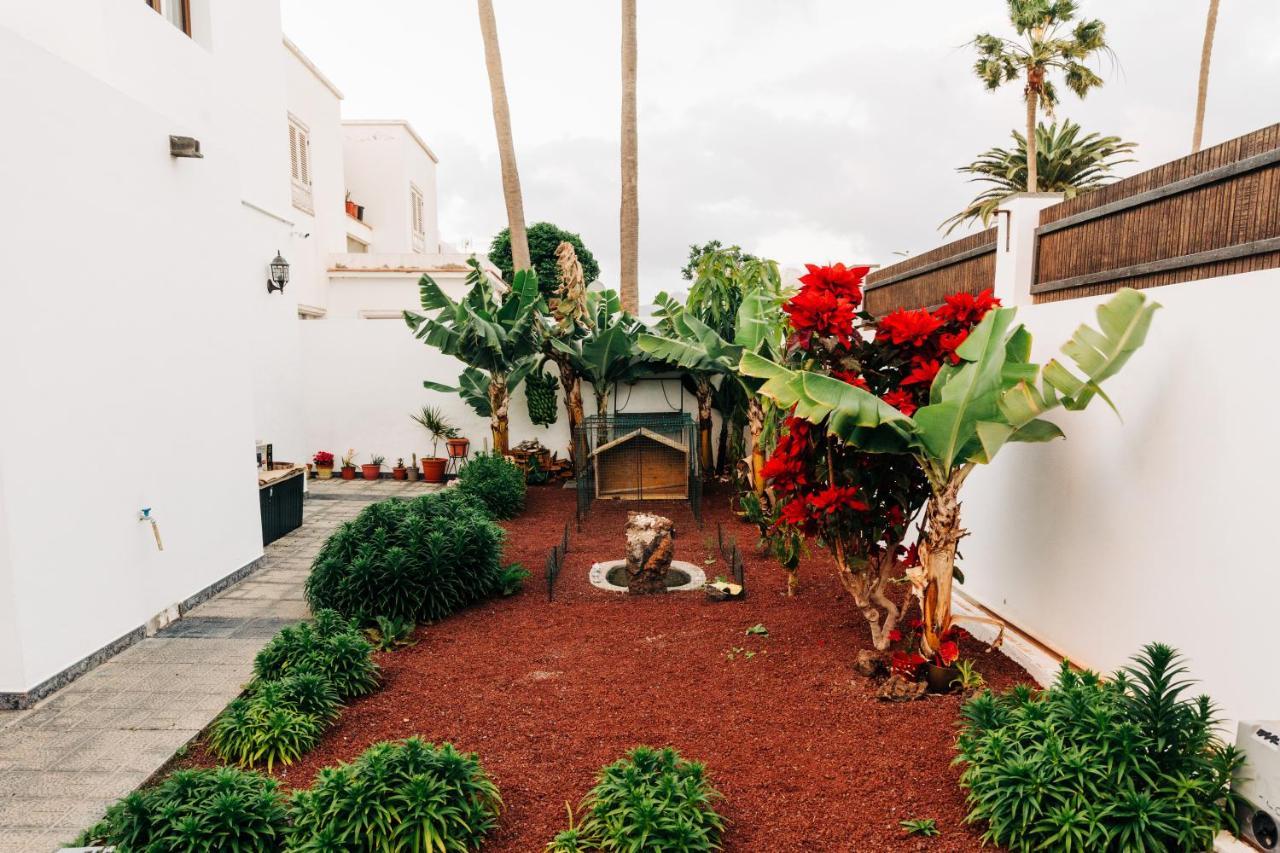La Palmera - Fabulosa Casa, Lanzarote, Playa Honda Playa Honda  Exteriér fotografie