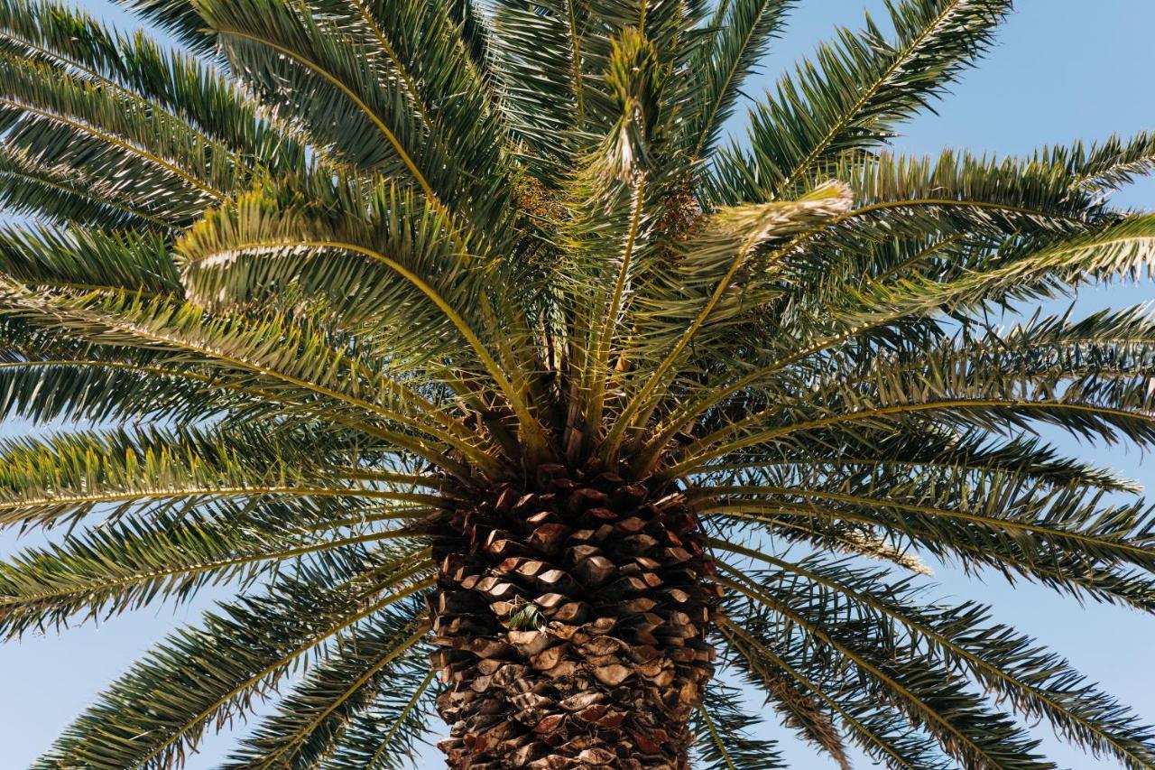 La Palmera - Fabulosa Casa, Lanzarote, Playa Honda Playa Honda  Exteriér fotografie